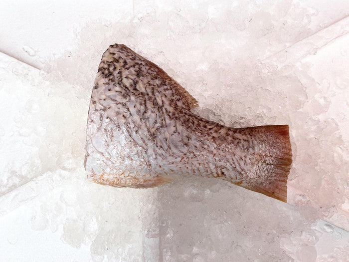 Golden snapper from Ding Xin Seafood for steamboat