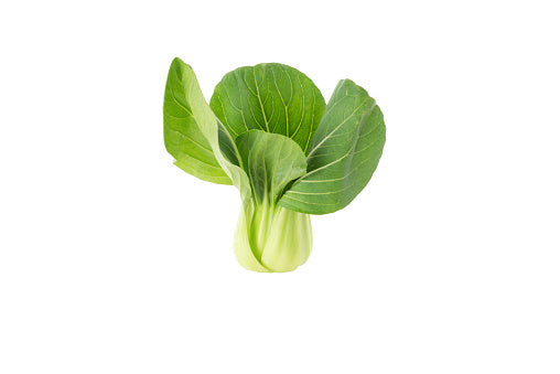 Baby Shanghai Green (170G) 青白仔