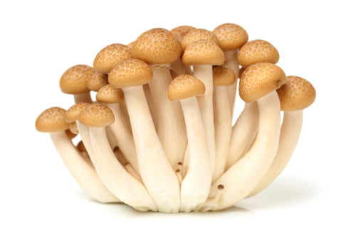 Chinese Brown Shimeji Mushrooms (150G) 蟹味菇