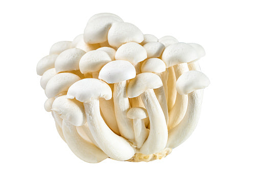 Chinese Bunapi Mushrooms (150G) 白玉菇