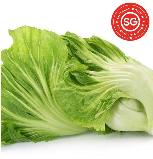 Local Pesticide-Free Chinese Mustard (200G) 芥菜