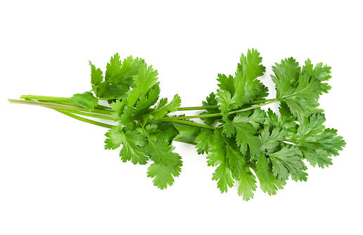 Thai Coriander 香菜 (100G)