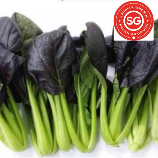 Local Pesticide-Free Red Bok Choy (150G) 红叶白菜