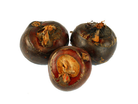 Chinese Water Chestnut (500G) 馬蹄