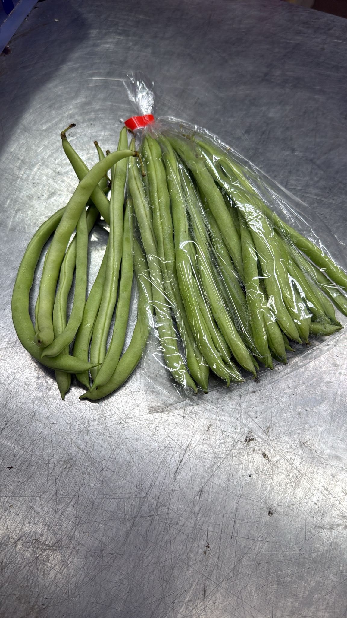 Cameron Highlands French Bean (180-220G)