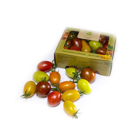 Malaysian Heirloom Tomato (pesticide-free) 原種番茄