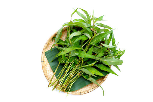 Malaysian Laksa Leaves 叻沙叶 (50G)