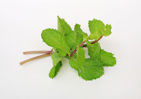 Local Mint Leaves 50G 薄荷叶