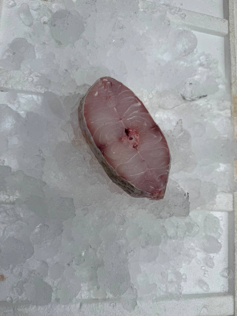 Balai Threadfin, Steak, Fresh 午鱼 (200-250G)