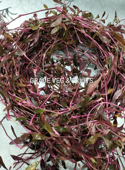 Red Sessile Joyweed / Hong Tian Wu 170-200G 红田乌