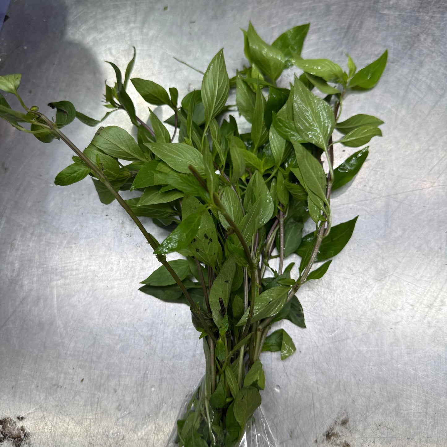 Thai Basil Leaf (50-100G)