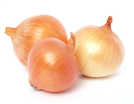 NZ Yellow Onion (500G) 黄洋葱