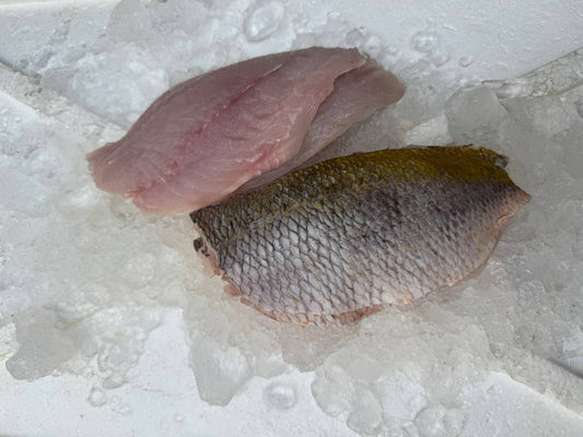 Yellowtail Fillet (250-300G) 黄尾鱼