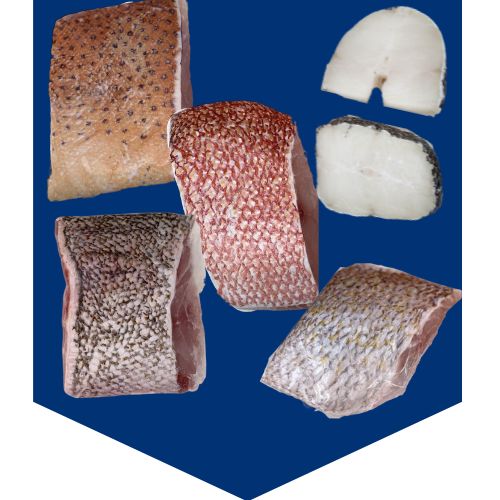 Wild-Caught Fillets Pack (3 KG)
