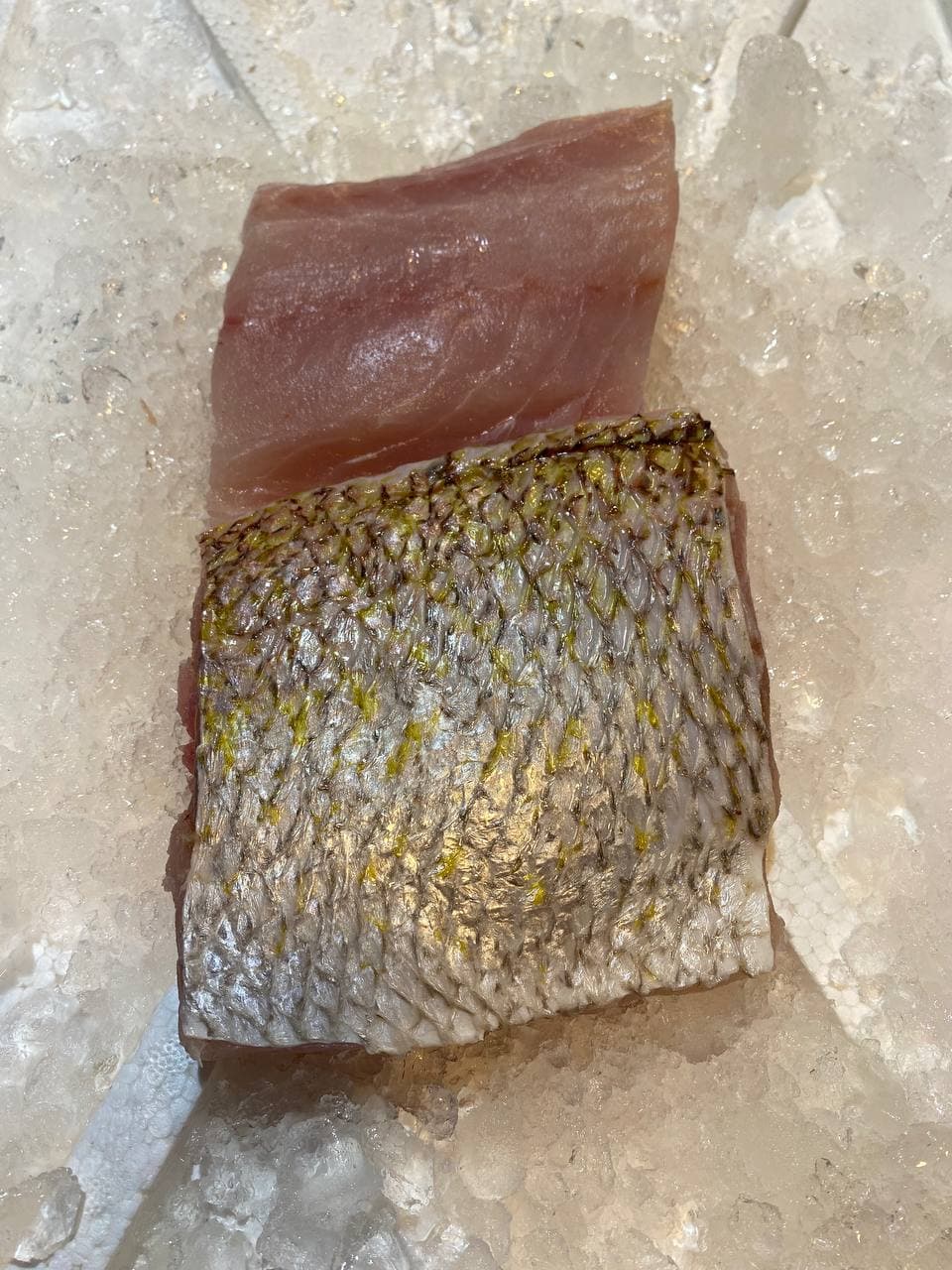 fresh white snapper ang go li fish fillet