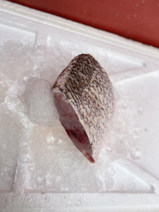 ang zhou / ang zhor / golden snapper fish