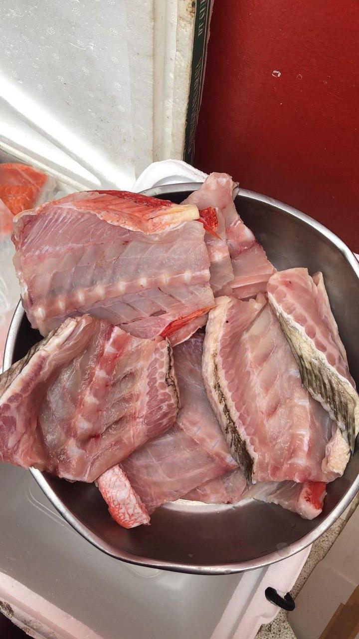 fresh fish bones