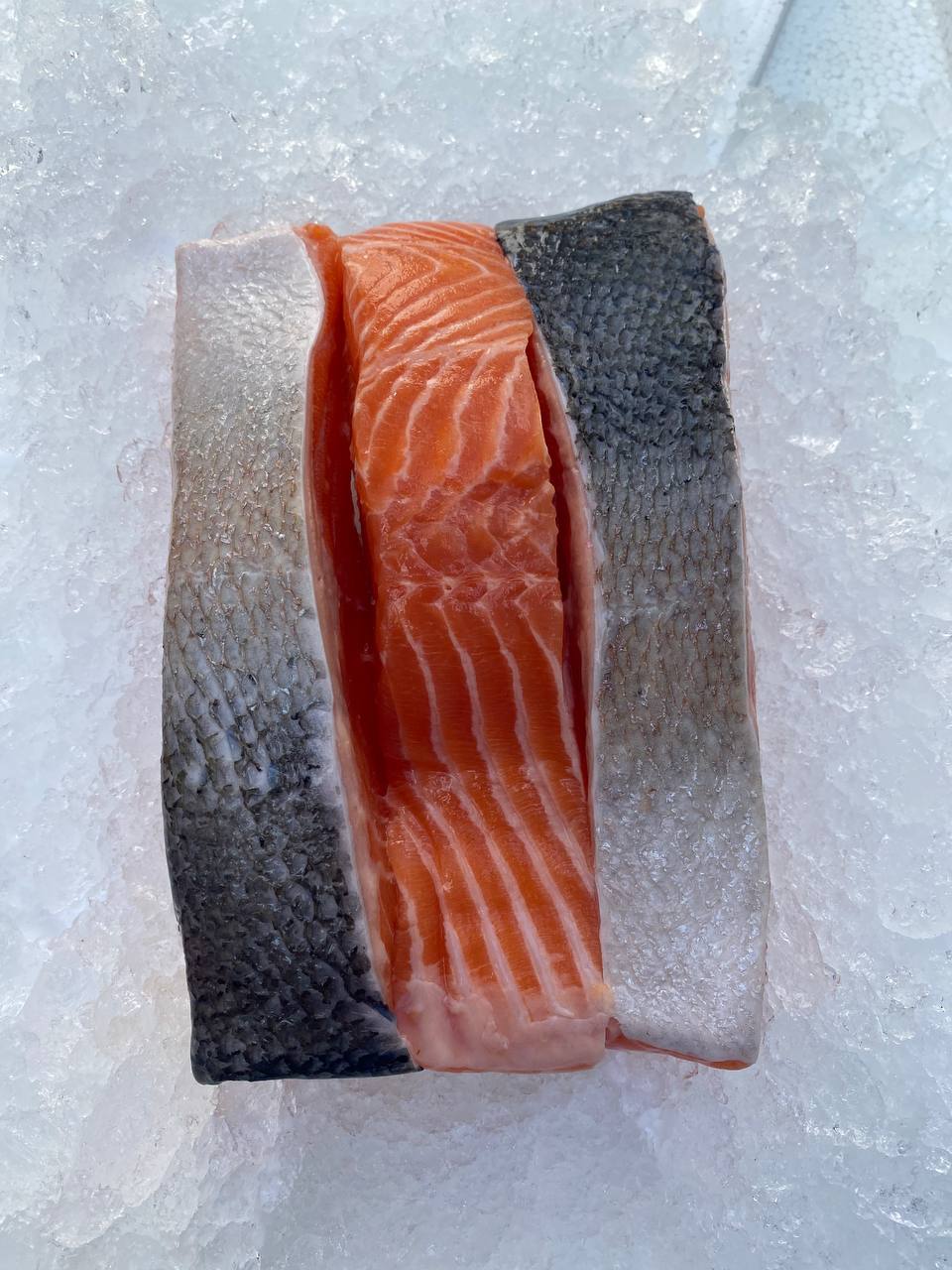 fresh salmon fillet