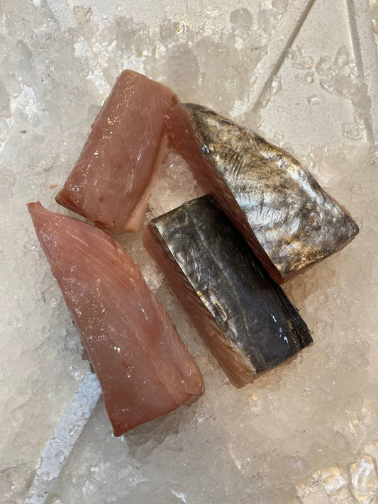 fresh batang fish fillet