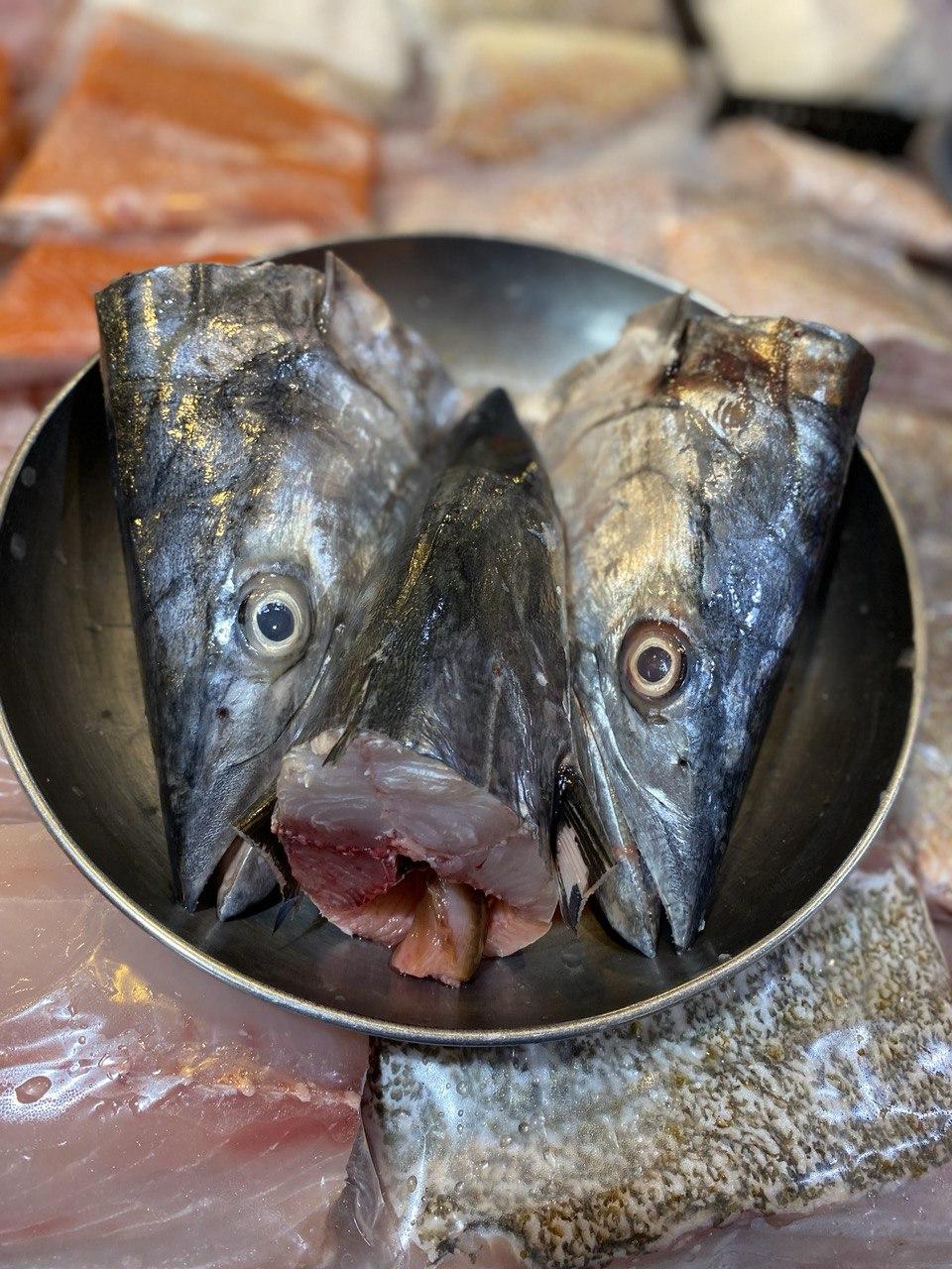 fresh batang fish head