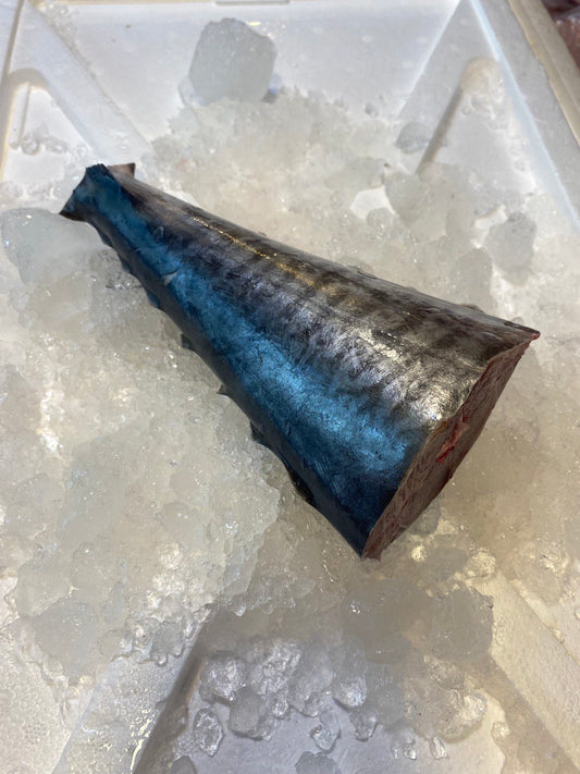 fresh batang tenggiri fish