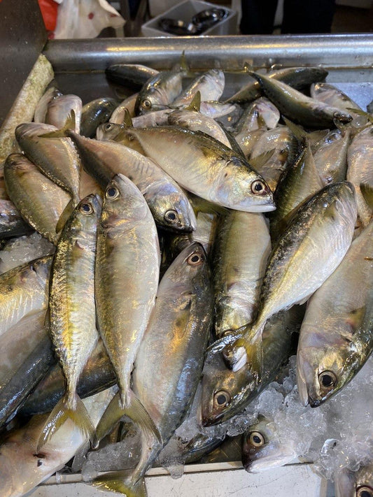 fresh batu fish 