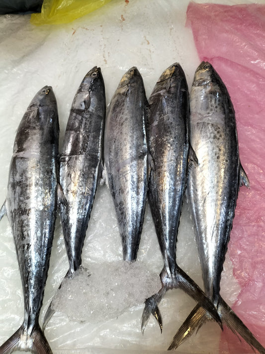 Beh Ka Fish 马鲛鱼 (~1 KG)