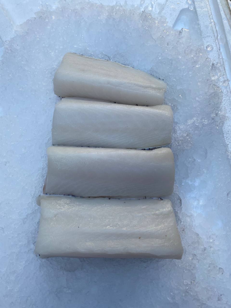 fresh cod fish