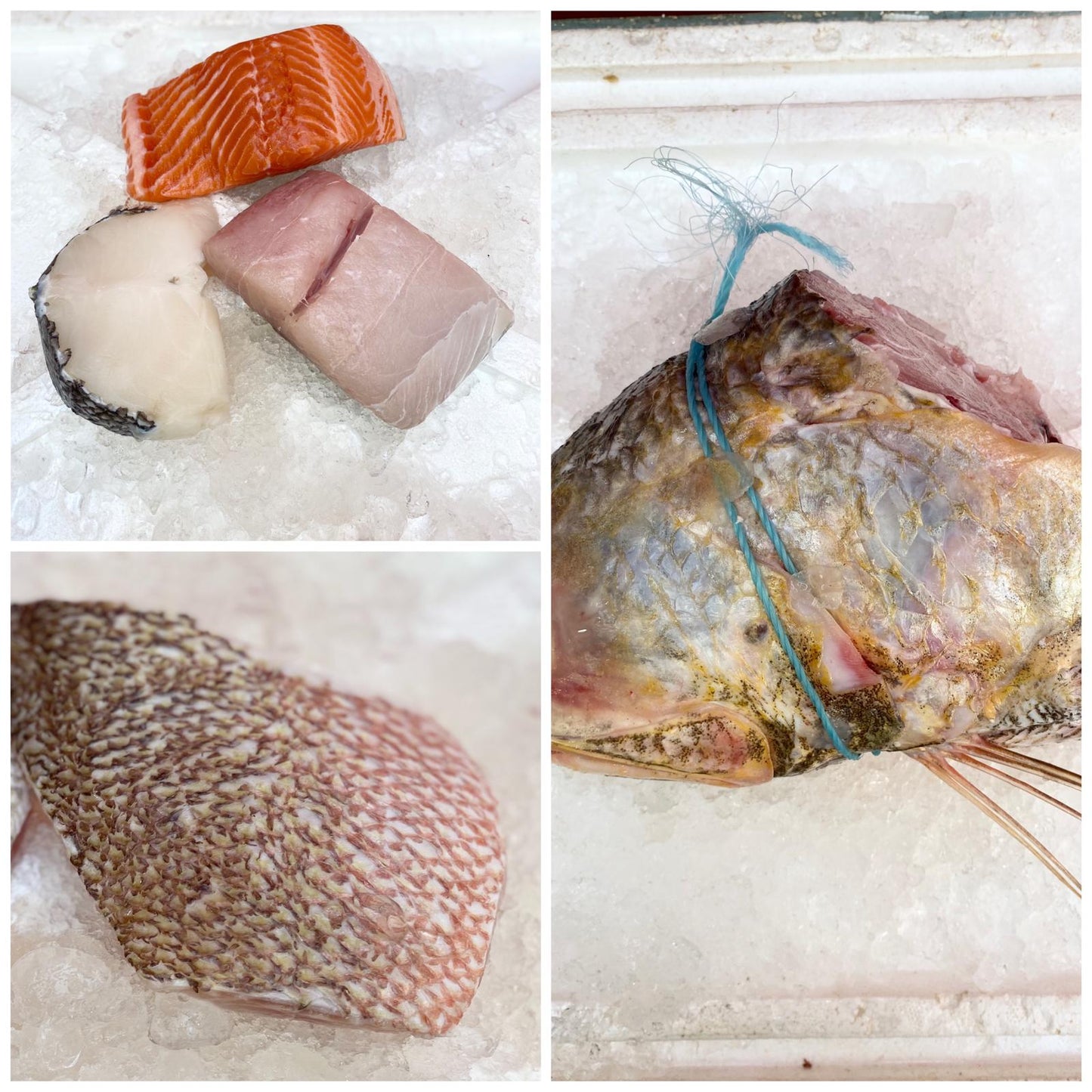 fish for mothers