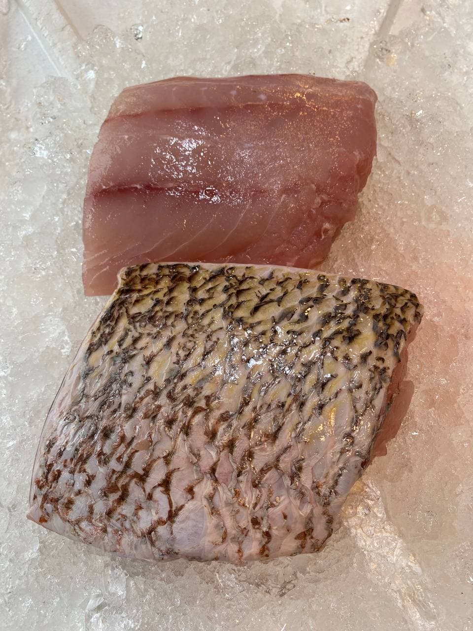 fresh golden snapper fish fillet