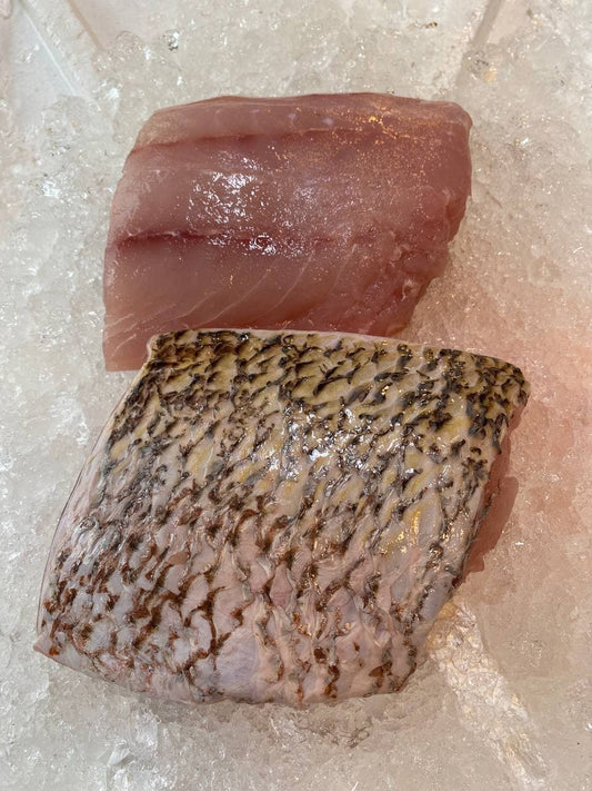 fresh golden snapper fish fillet