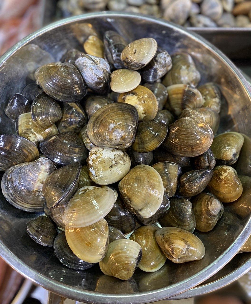 fresh la la clams