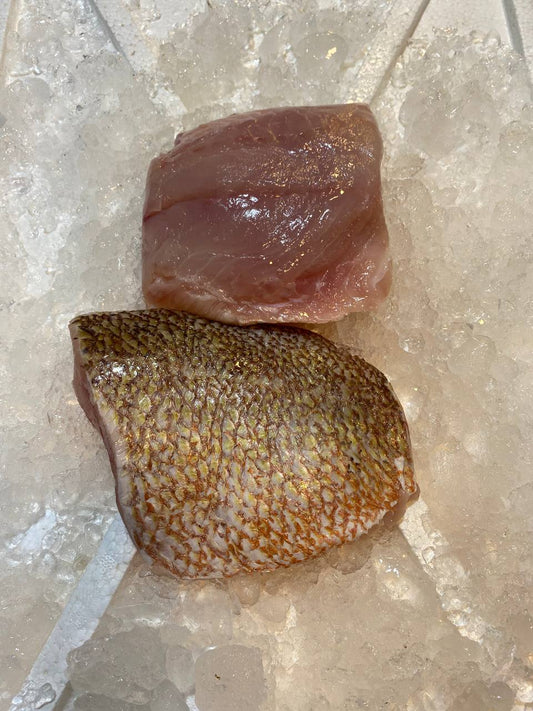 fresh red snapper fish fillet