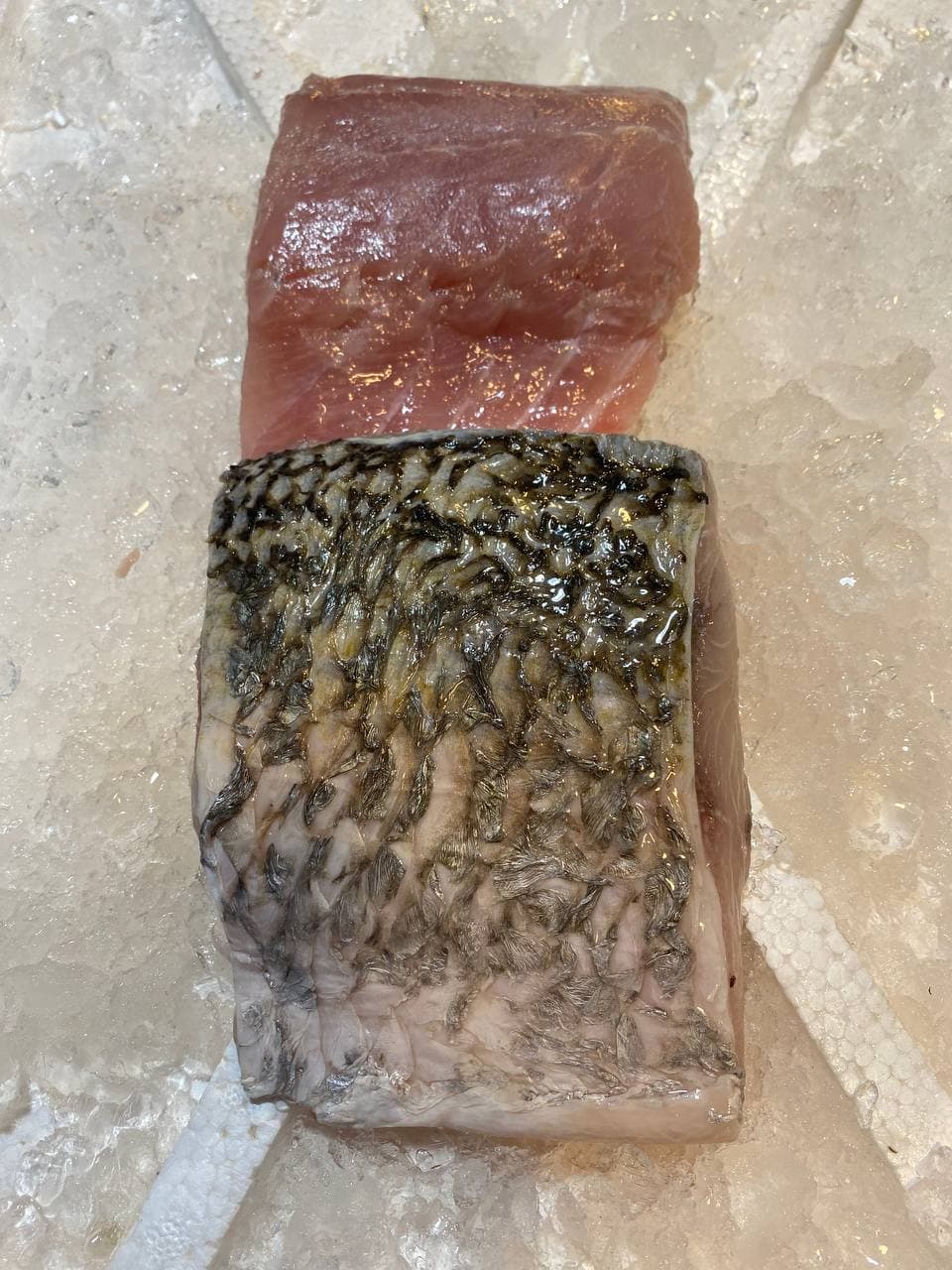 fresh sea bass barramundi fish fillet