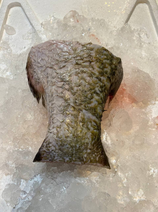 fresh sea bass barramundi fish