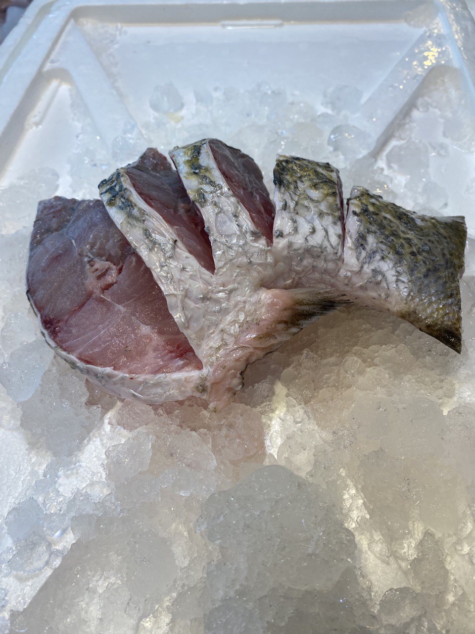 fresh sea bass barramundi fish