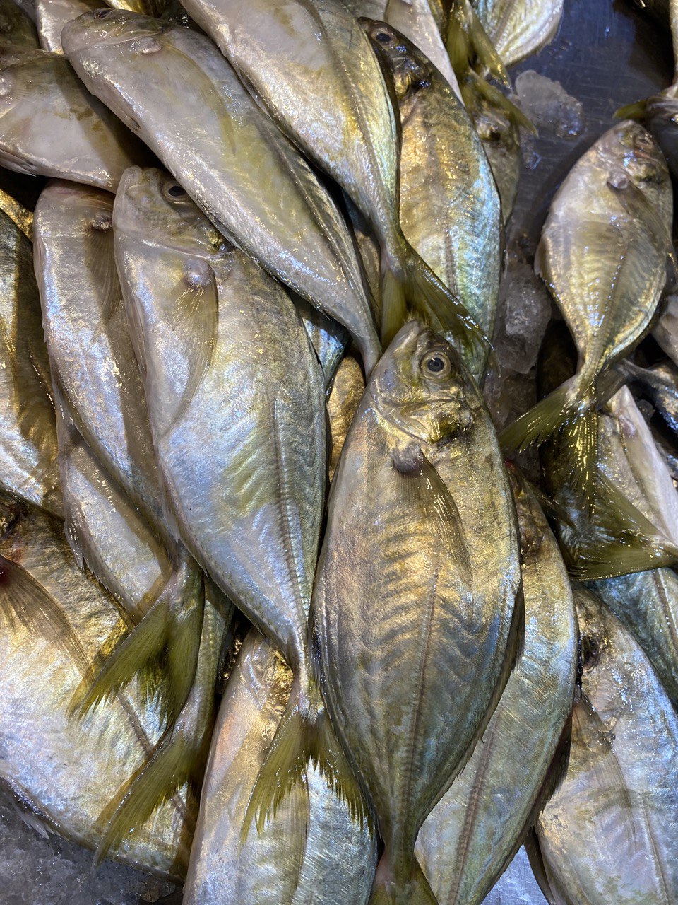 Whole Ikan Selar (1 KG)
