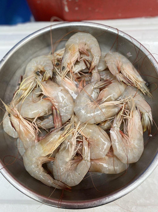 fresh ang kar sea prawns