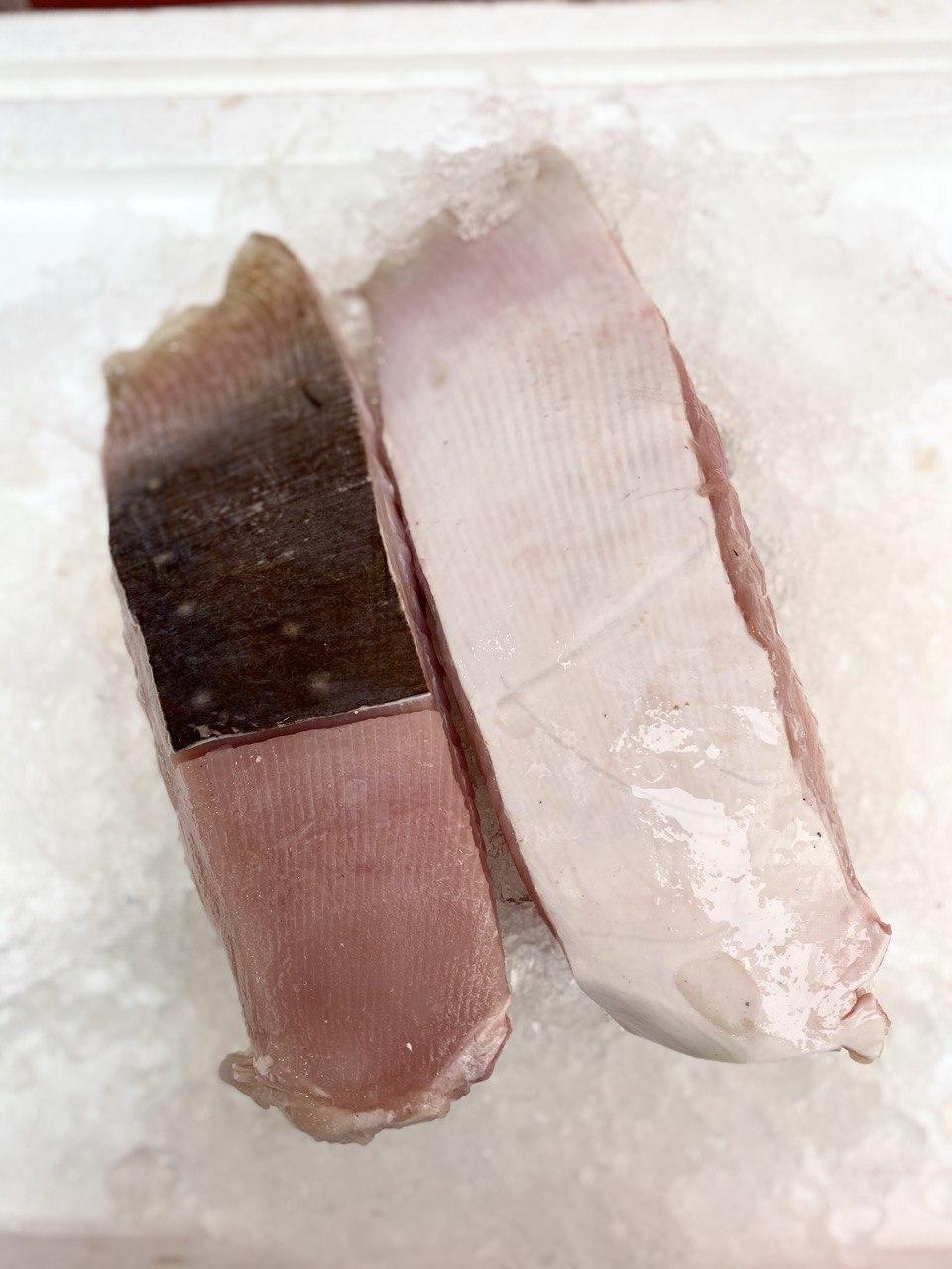 fresh stingray