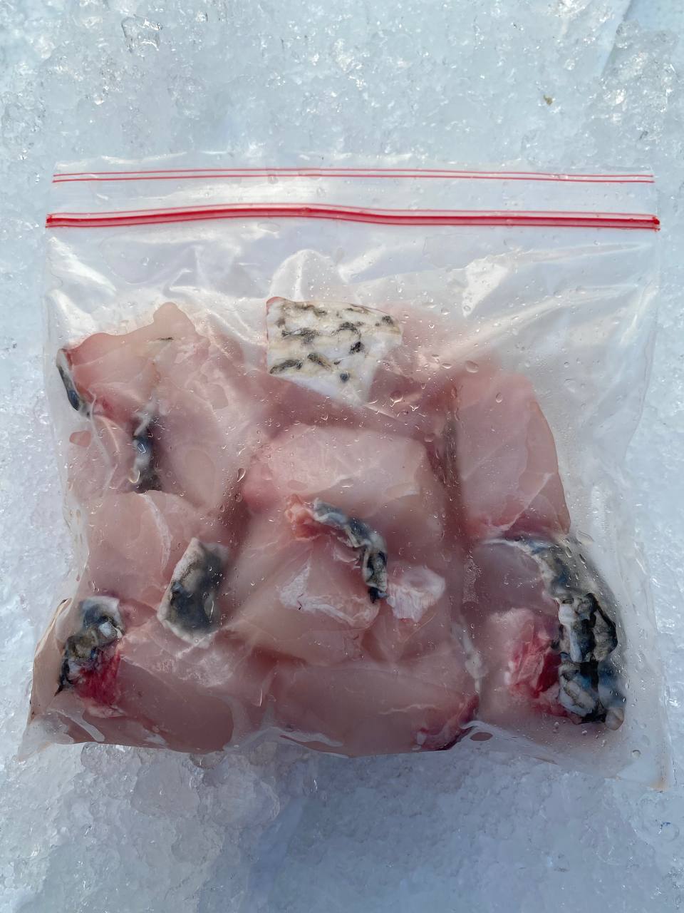 fresh threadfin kurau fish fillet