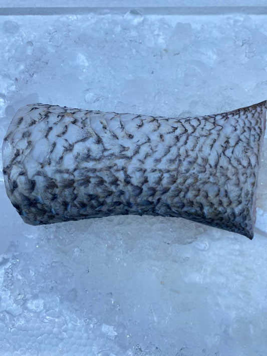 fresh threadfin fish