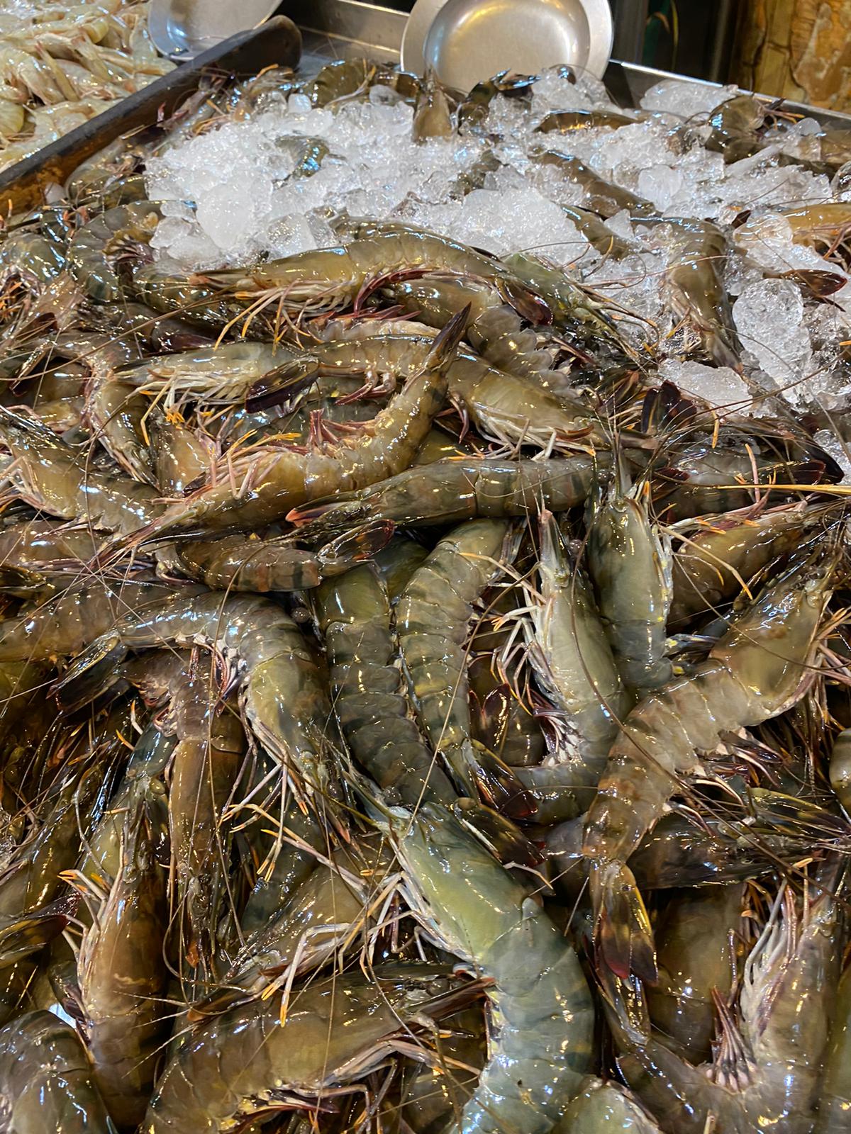 fresh tiger prawns