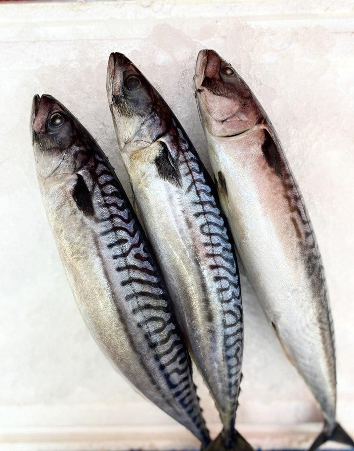Saba mackerel from Ding Xin Seafood