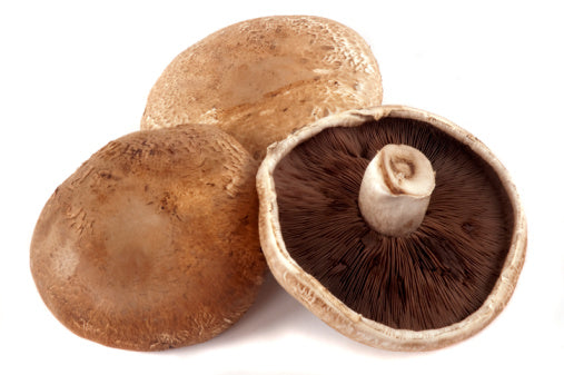 Portobello Mushrooms (100G) 大扁褐蘑菇
