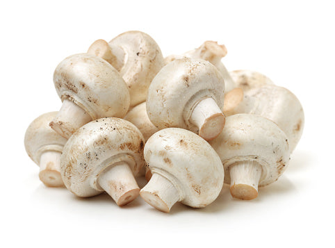 White Button Mushrooms (100G) 白蘑菇