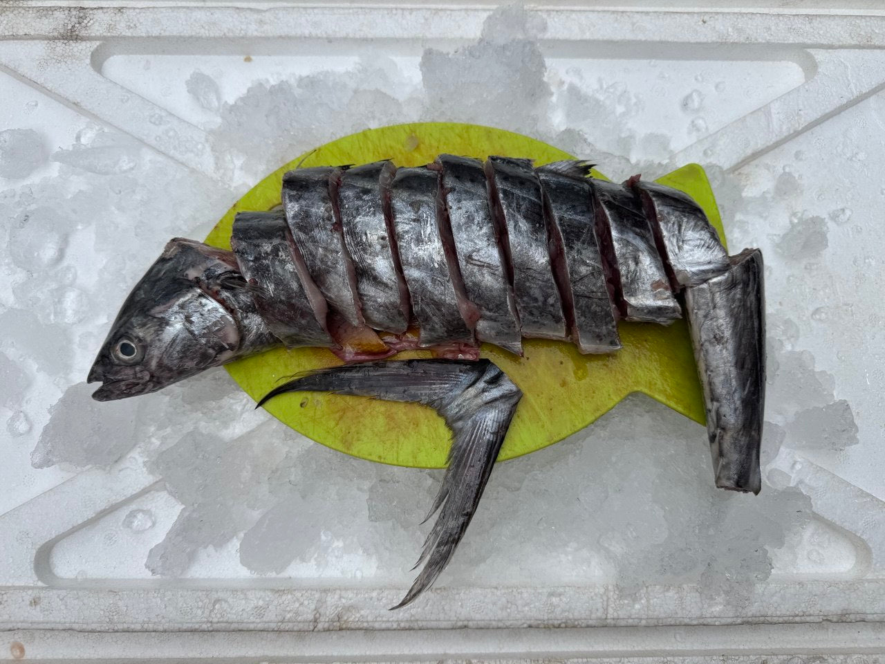 Beh Ka Fish 马鲛鱼 (~1 KG)