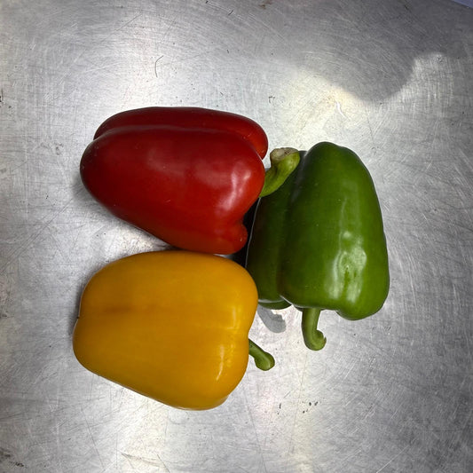 Cameron Highlands Bell Pepper (400-500G) (3 pcs)