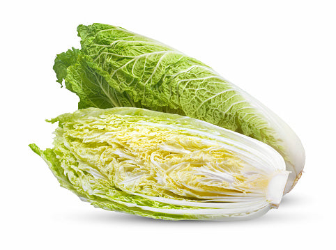 Chinese Cabbage 大白菜