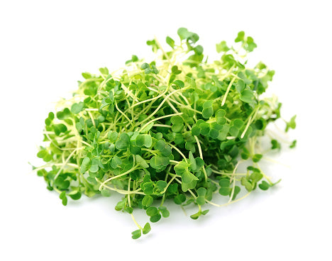 Local Dou Miao (100G) 豆苗