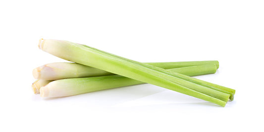 Lemongrass (300G) 柠檬草